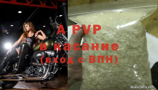 твердый Аркадак