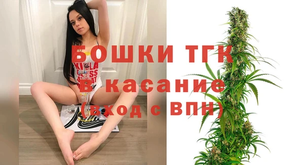 твердый Аркадак